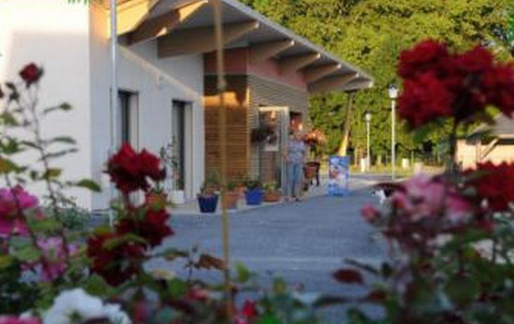Camping Au Bord De L'Aisne Guignicourt Bagian luar foto